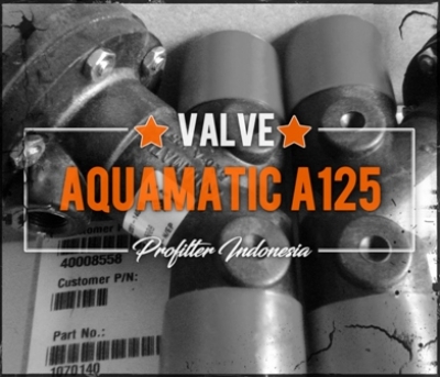 Aquamatic Valve A125 Filter Indonesia  large2