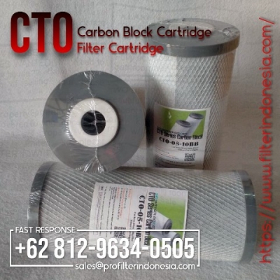 cto carbon block cartridge filter indonesia  large2