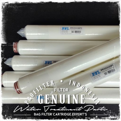 d d PP25 Meltblown Cartridge Filter Spun Indonesia pfi  large2