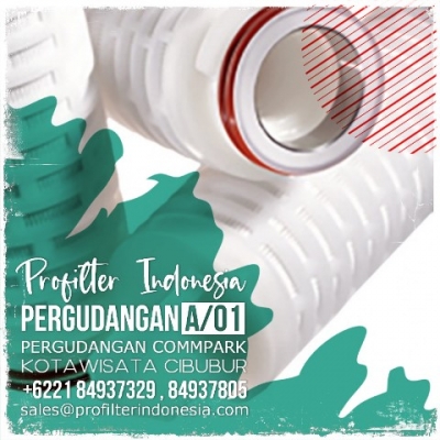 d d cartridge pleated filter indonesia  large2