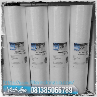d d d PP45 Big Blue Cartridge Filter Indonesia 20200405221736  large2