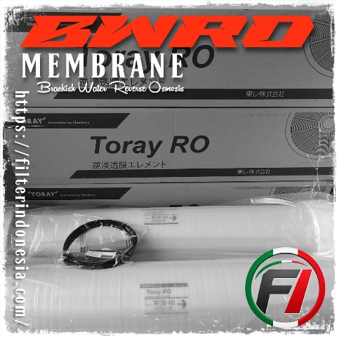Toray BWRO Membrane untuk Brackish Water Reverse Osmosis Industri